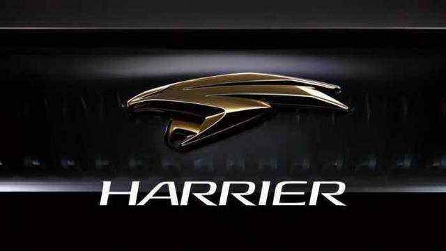 上市就成“爆款”,丰田Harrier或将明年引进,会受国人追