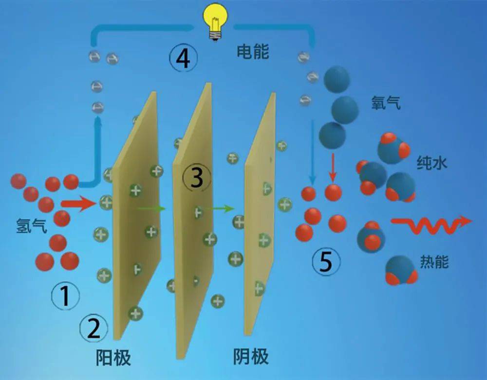 国内有哪些老百姓可能买得起的燃料电池车？