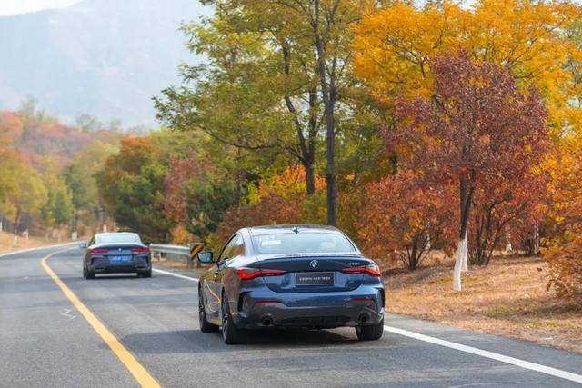 有一种潇洒叫驾驶BMW 4