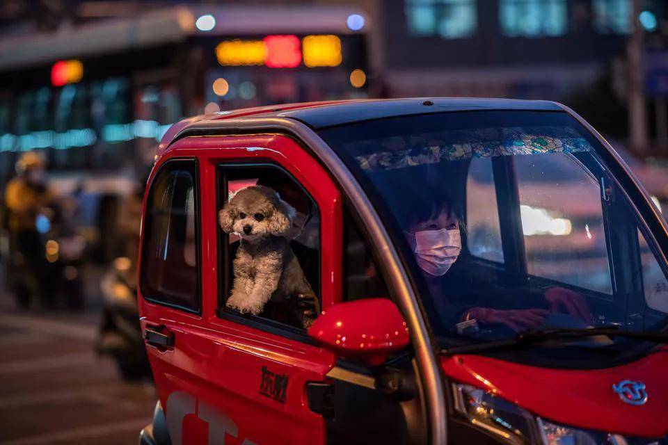 北京街头的“老年代步车”给欧洲人的启示