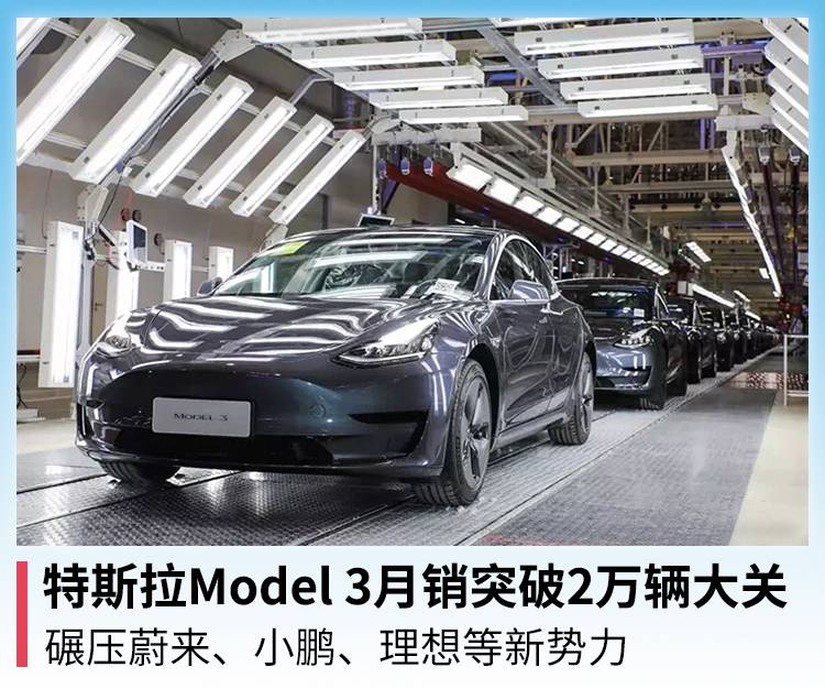 特斯拉Model 3月销突破2万辆大关，碾压蔚来、小鹏、理想等新势力