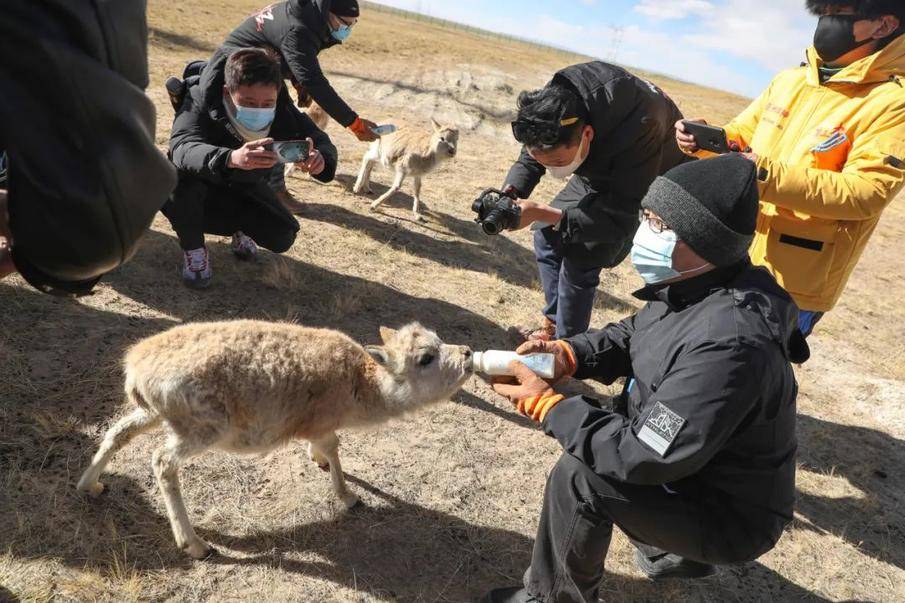 5天1500公里 和东南DX7一起体验大西北穿越之旅