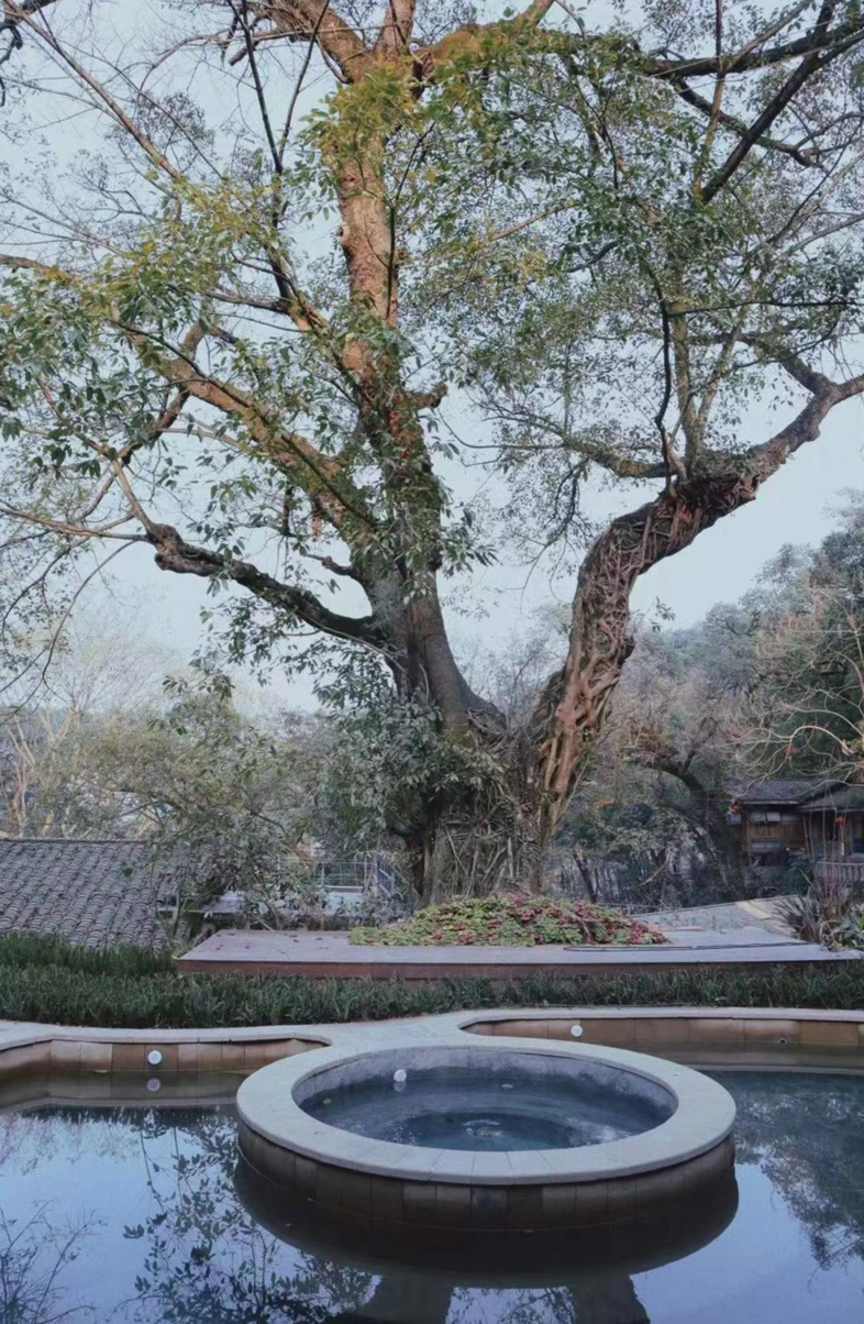 金刚碑10.png