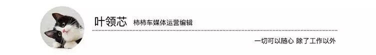 迈莎锐改装布加迪威航 大面积碳纤维材质 售价高达8位数