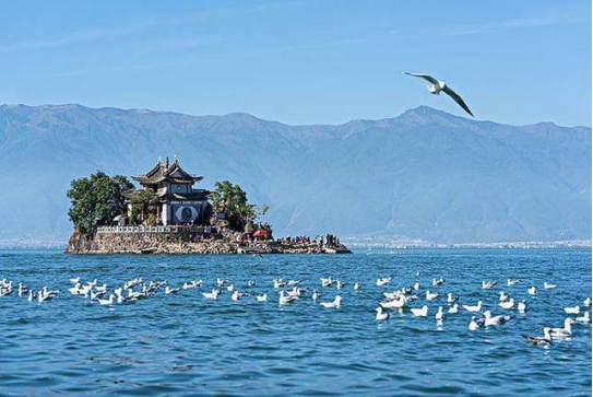 畅游云南，自驾之旅随心而行，神州租车助您征服绝美风光