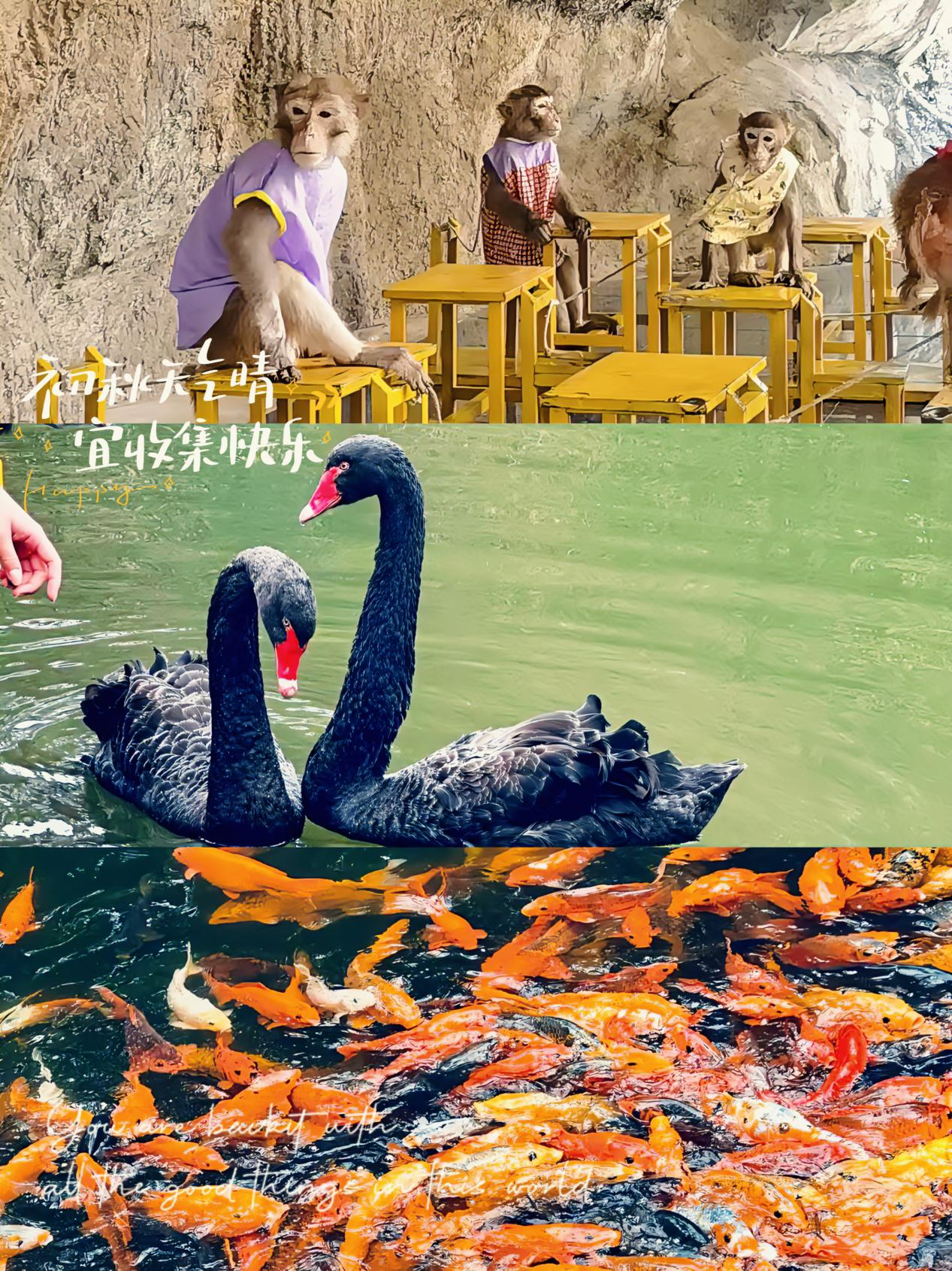 图片122.png