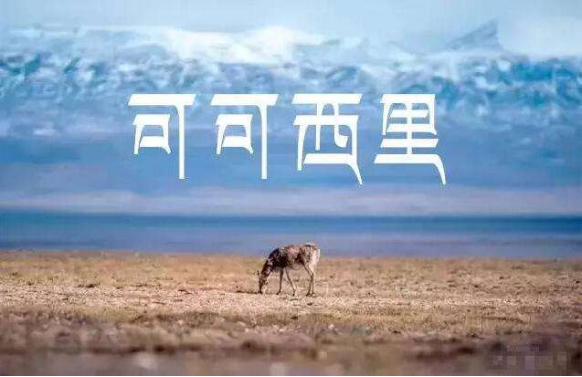 让每一公里都有意义 BJ40可可西里守望计划开启招募680.png