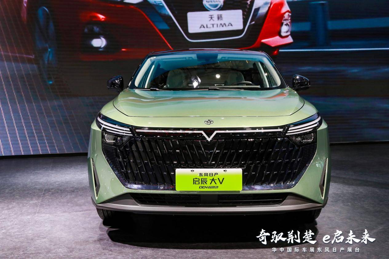 图片29.jpg