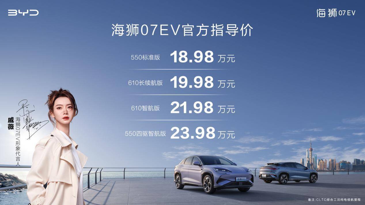 byd_4.jpeg