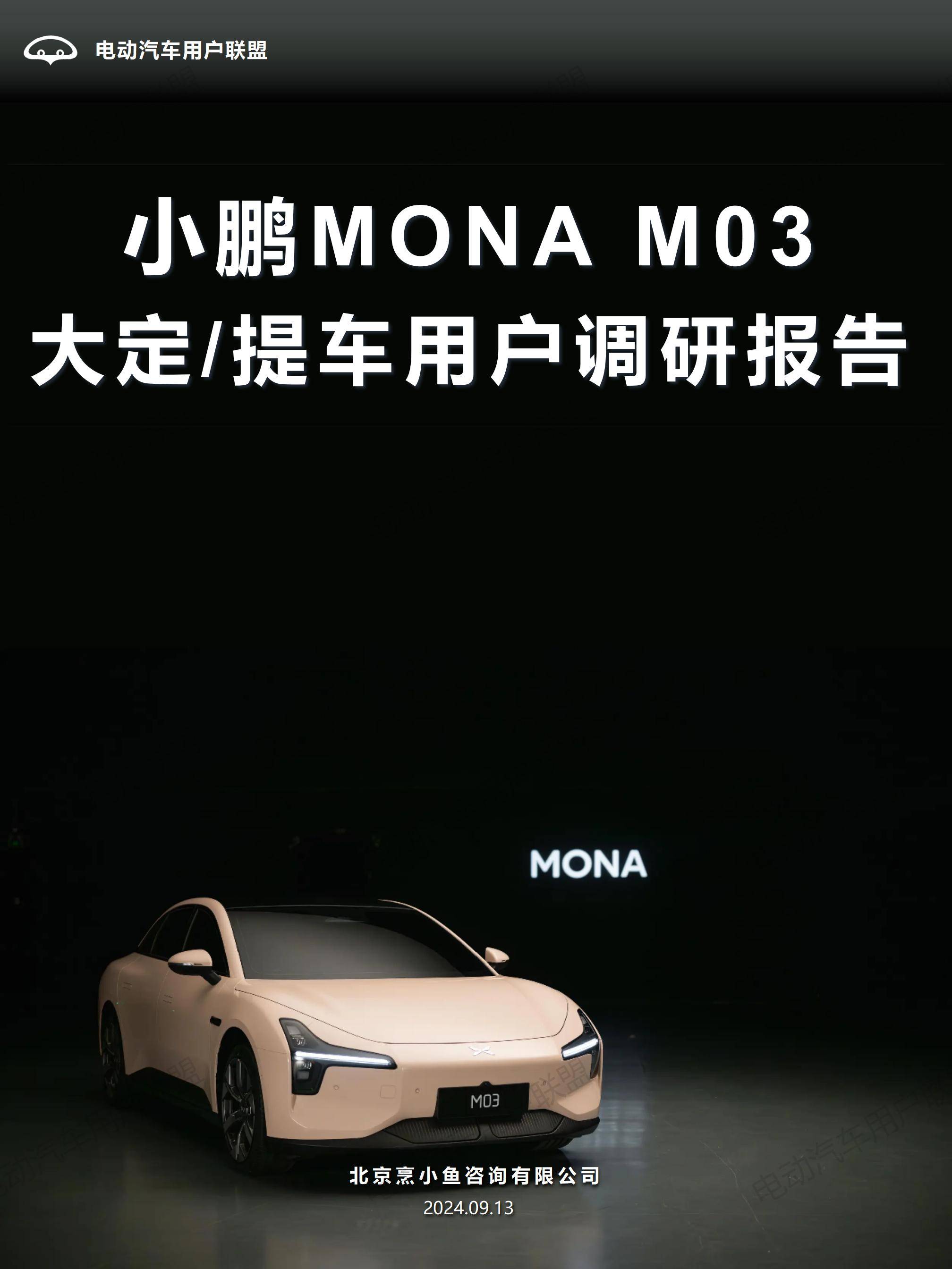 小鹏MONA M03大定用户调研报告（0913）pptx_01.jpg