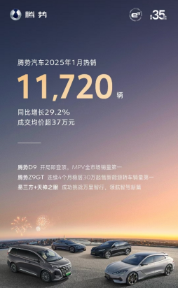 中国销冠 比亚迪25年1 月销售30 万台html1076.png