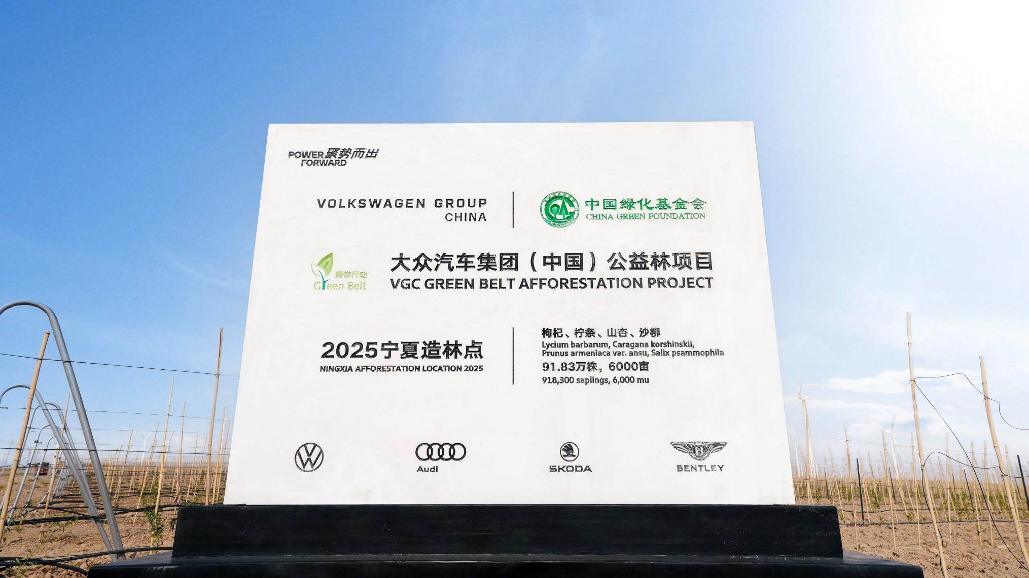 https://cools.qctt.cn/1750838605126.jpeg?imageMogr2/size-limit/1024k!